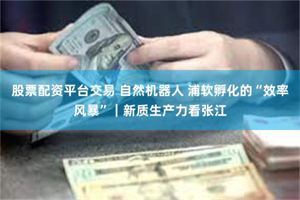 股票配资平台交易 自然机器人 浦软孵化的“效率风暴”｜新质生产力看张江