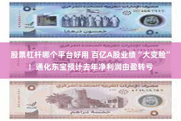 股票杠杆哪个平台好用 百亿A股业绩“大变脸”！通化东宝预计去