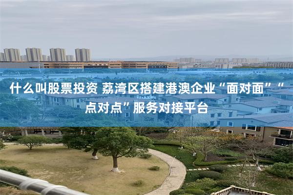 什么叫股票投资 荔湾区搭建港澳企业“面对面”“点对点”服务对
