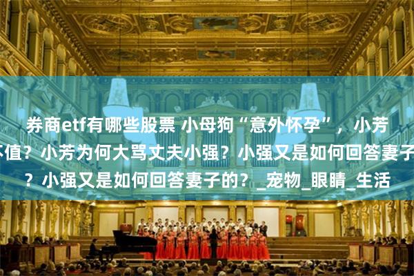 券商etf有哪些股票 小母狗“意外怀孕”，小芳花300元为其