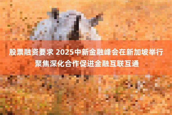 股票融资要求 2025中新金融峰会在新加坡举行 聚焦深化合作