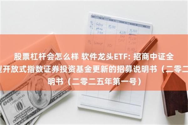股票杠杆会怎么样 软件龙头ETF: 招商中证全指软件交易型开放式指数证券投资基金更新的招募说明书(二零二五年第一号)